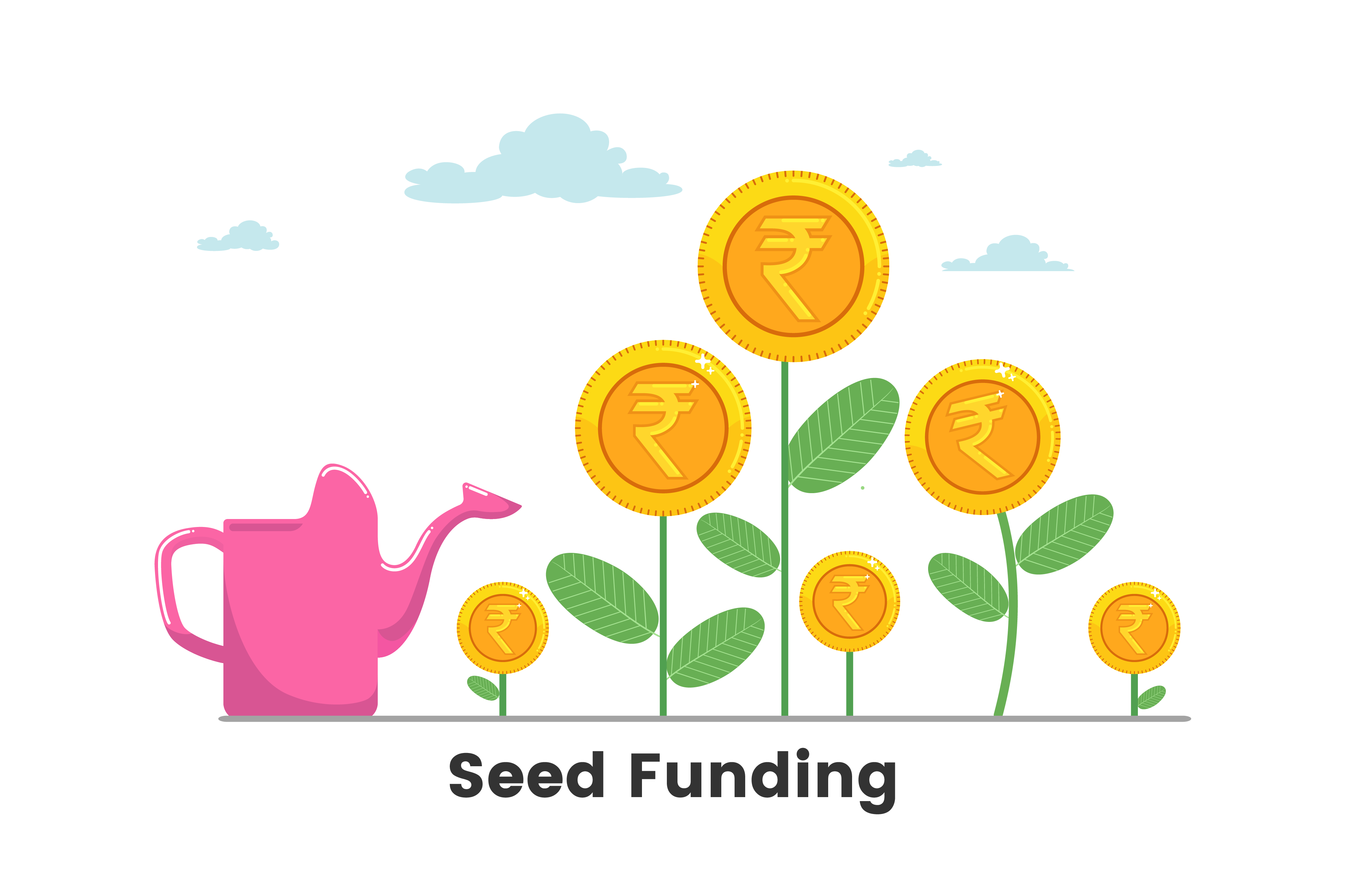 Seed Funding